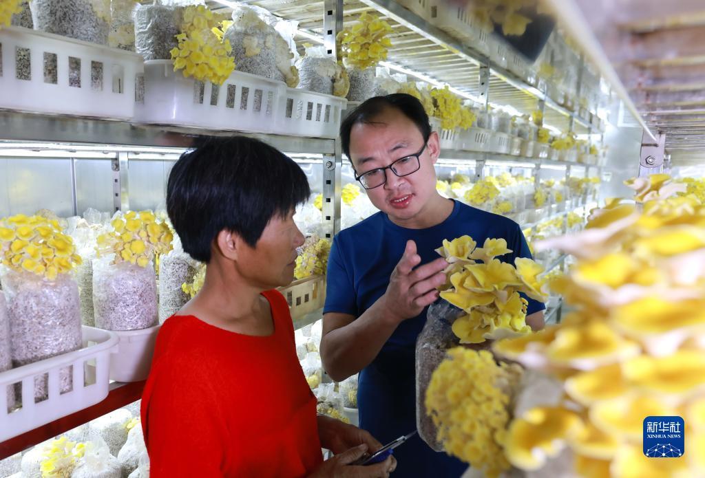 现货黄金外盘平台